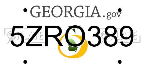 5ZRO389 Georgia License Plate