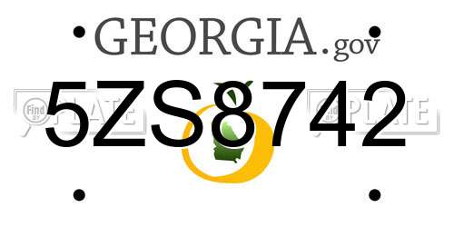 5ZS8742 Georgia License Plate