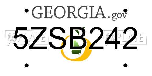 5ZSB242 Georgia License Plate