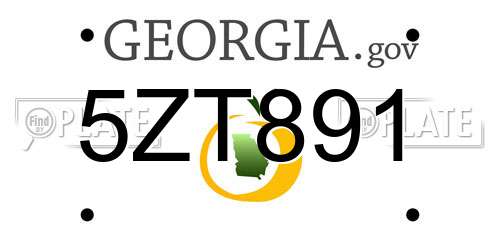 5ZT891 Georgia License Plate