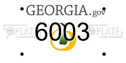 6003 Georgia License Plate