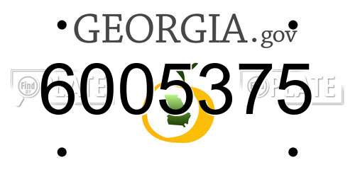 6005375 Georgia License Plate