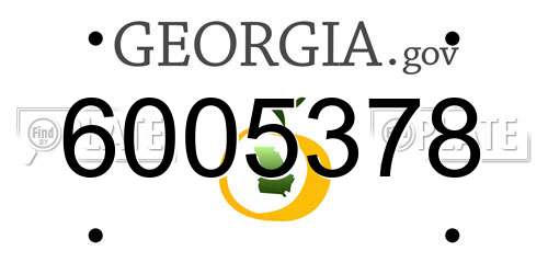 6005378 Georgia License Plate