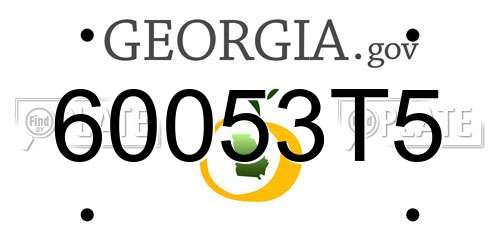 60053T5 Georgia License Plate
