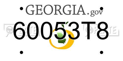 60053T8 Georgia License Plate