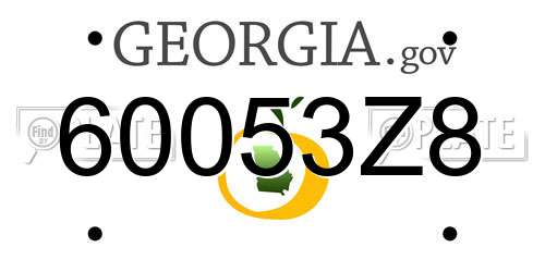 60053Z8 Georgia License Plate