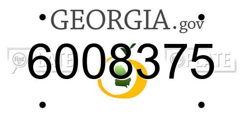 6008375 Georgia License Plate