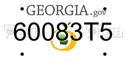 60083T5 Georgia License Plate