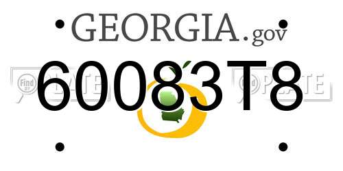 60083T8 Georgia License Plate