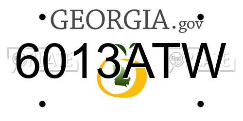 6013ATW Georgia License Plate