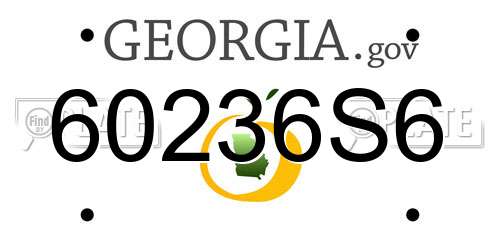 60236S6 Georgia License Plate