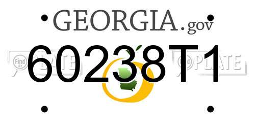 60238T1 Georgia License Plate
