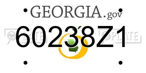 60238Z1 Georgia License Plate
