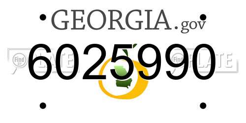 6025990 Georgia License Plate