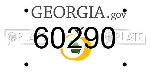 60290 Georgia License Plate