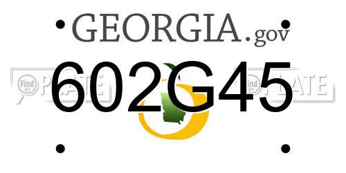 602G45 Georgia License Plate