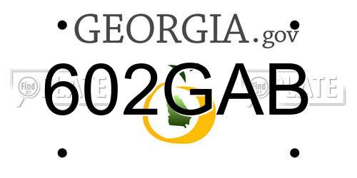 602GAB Georgia License Plate