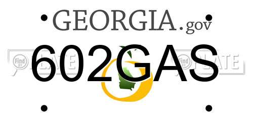602GAS Georgia License Plate