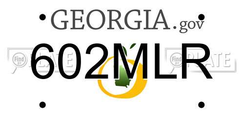 602MLR Georgia License Plate