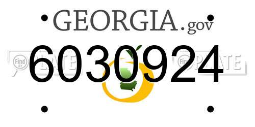 6030924 Georgia License Plate