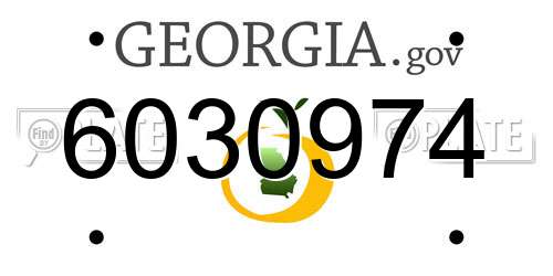 6030974 Georgia License Plate