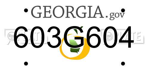 603G604 Georgia License Plate