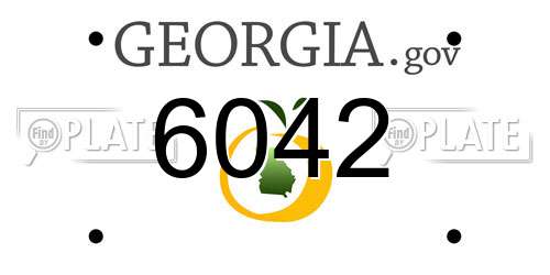 6042 Georgia License Plate