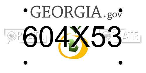 604X53 Georgia License Plate