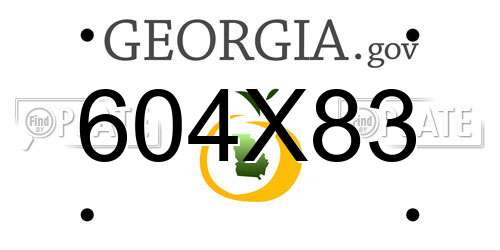 604X83 Georgia License Plate