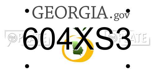 604XS3 Georgia License Plate