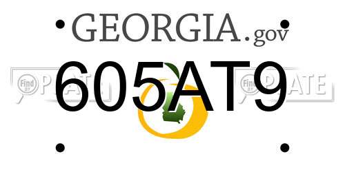 605AT9 Georgia License Plate