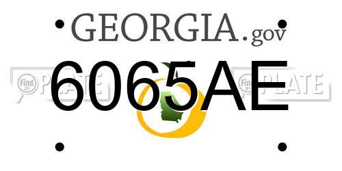 6065AE Georgia License Plate