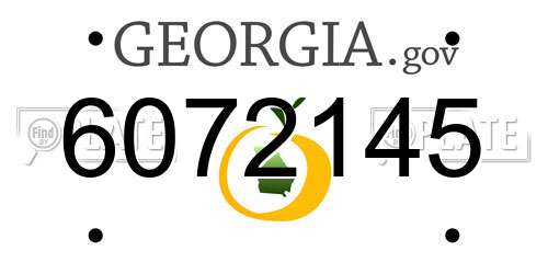 6072145 Georgia License Plate
