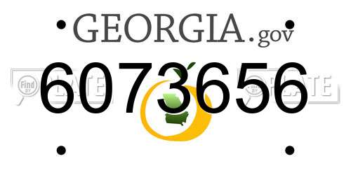 6073656 Georgia License Plate