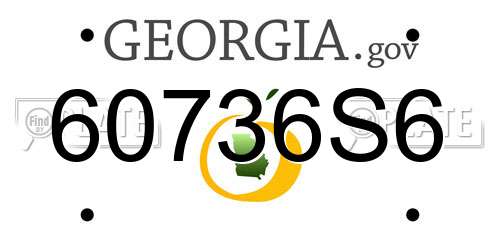 60736S6 Georgia License Plate