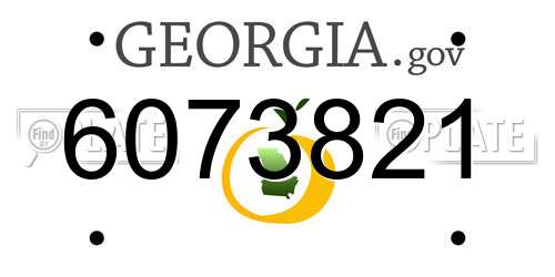 6073821 Georgia License Plate