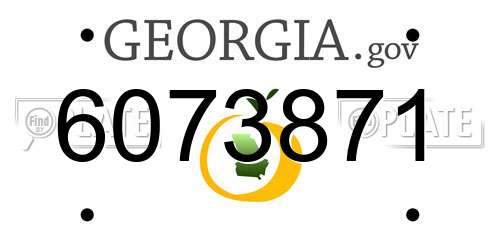 6073871 Georgia License Plate