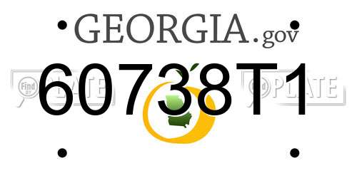 60738T1 Georgia License Plate