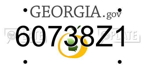 60738Z1 Georgia License Plate
