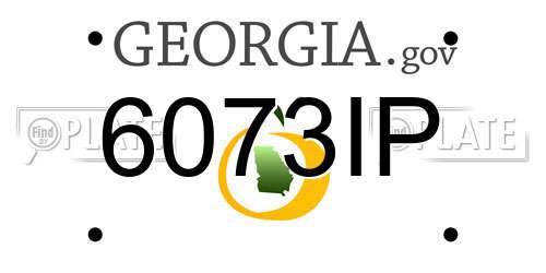 6073IP Georgia License Plate