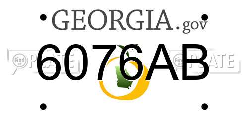 6076AB Georgia License Plate