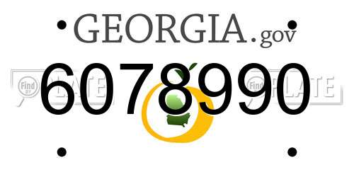6078990 Georgia License Plate