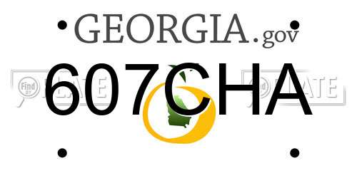 607CHA Georgia License Plate