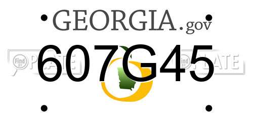 607G45 Georgia License Plate