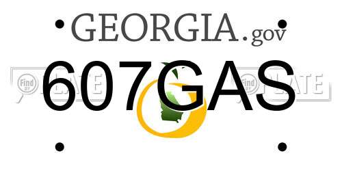 607GAS Georgia License Plate