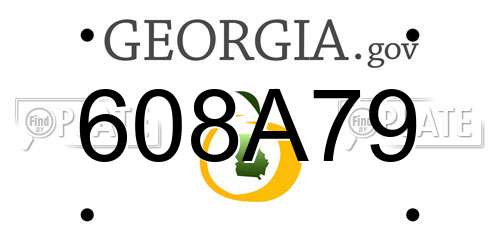 608A79 Georgia License Plate