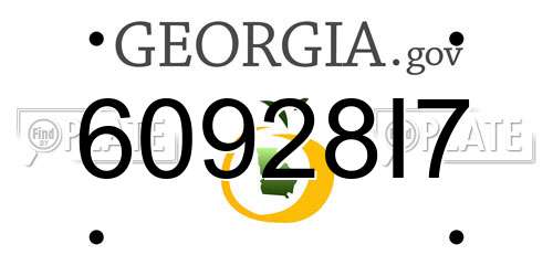 60928I7 Georgia License Plate
