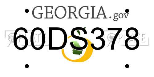 60DS378 Georgia License Plate
