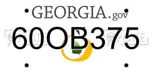 60OB375 Georgia License Plate