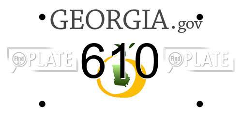 610 Georgia License Plate